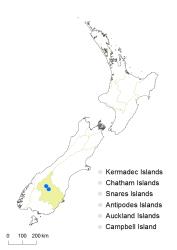 Cardamine sciaphila distribution map based on databased records at AK, CHR, OTA & WELT.
 Image: K.Boardman © Landcare Research 2018 CC BY 4.0